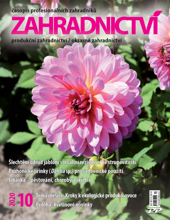 Obálka titulu Zahradnictví - vydání č. 10/2020